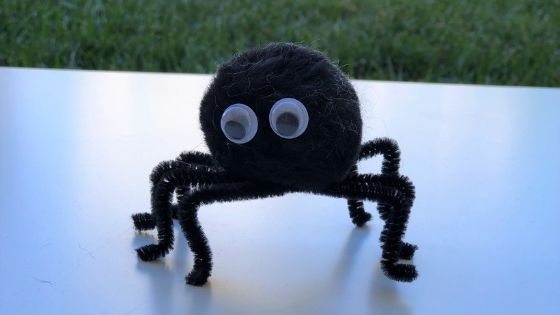 pom-pom spider