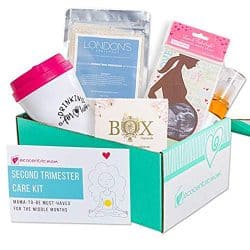 Ecocentric Mom Pregnancy Gift Box