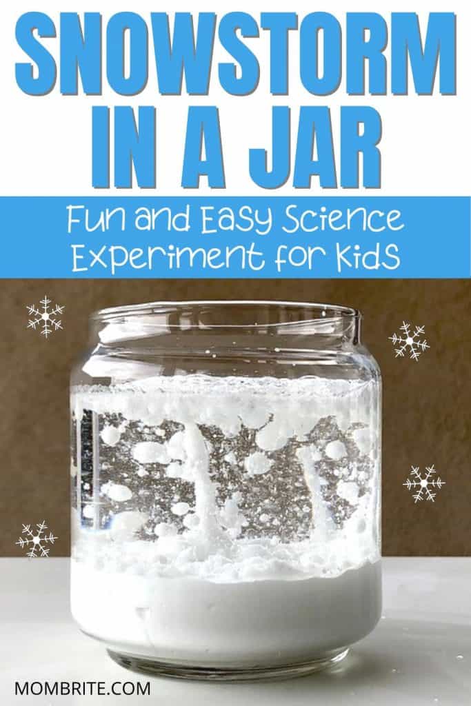 Snowstorm-in-a-Jar-Pin