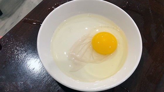 Bouncy-Egg-Broken