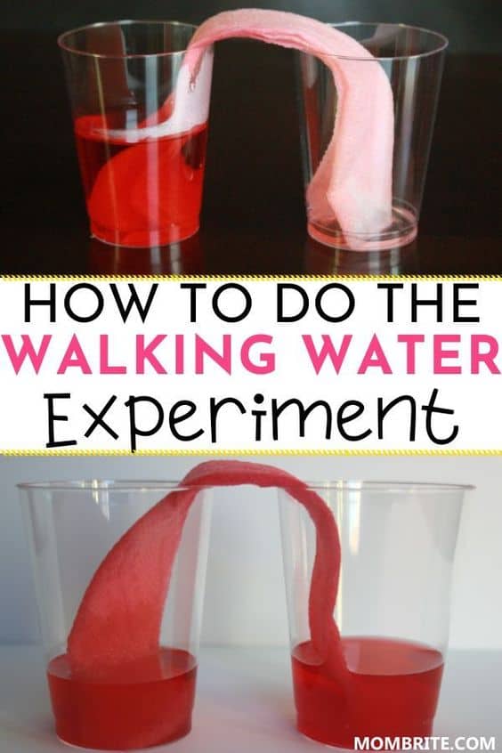 Walking-Water-Experiment-Pin