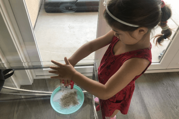 Salt-and-Pepper-Static-Electricity-Experiment