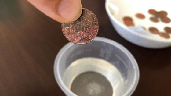 Penny-Vinegar-Salt-Experiment-1