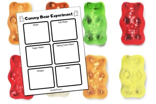 Gummy Bear Worksheet Mockup