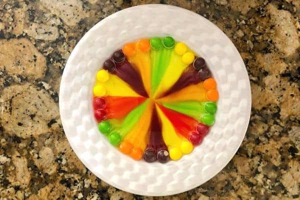 Skittles Science Experiment Colorful Plate