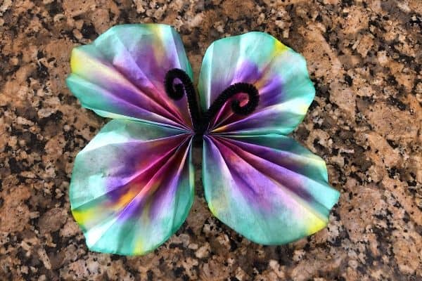 Coffee Filter Butterfly Craft Fan Out Wings
