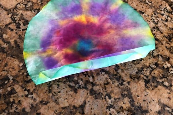 Coffee Filter Butterfly Craft Folded
