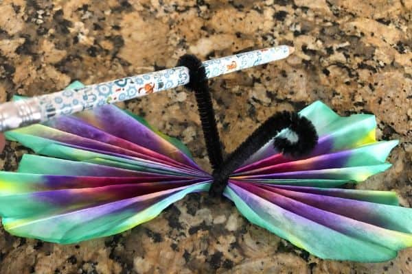 Coffee Filter Butterfly Craft Pipe Cleaner Curl with Pencil