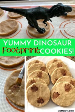 Dinosaur Footprint Cookies Pin