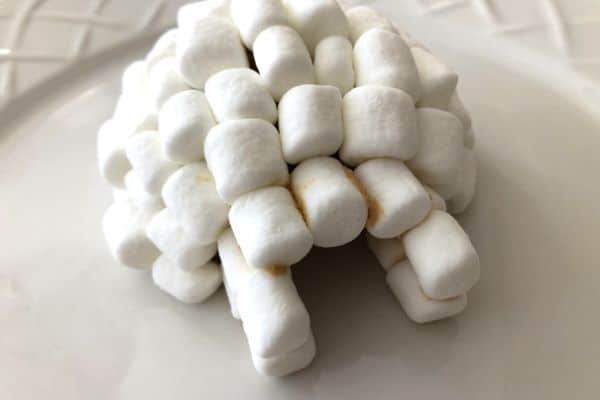 Marshmallow Igloo Entrance