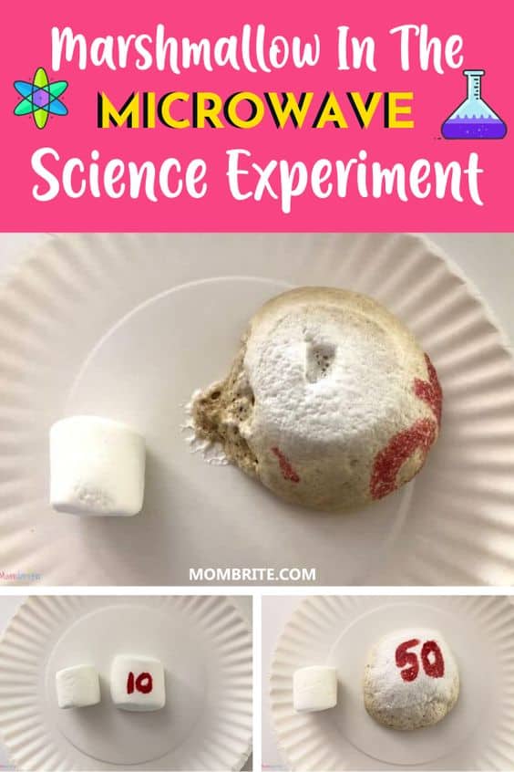 Marshmallow in the Microwave Experiment Pin