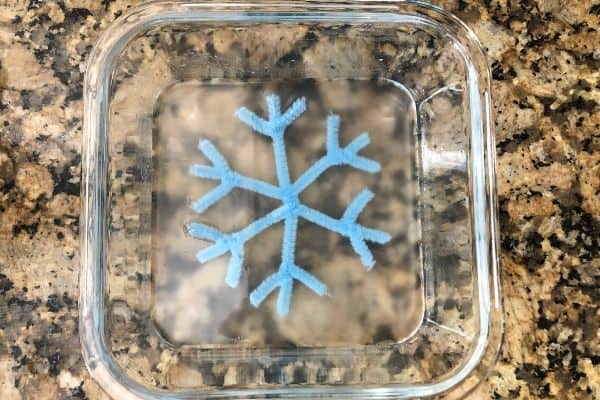 Pipe Cleaner Snowflakes Salt Crystals Water