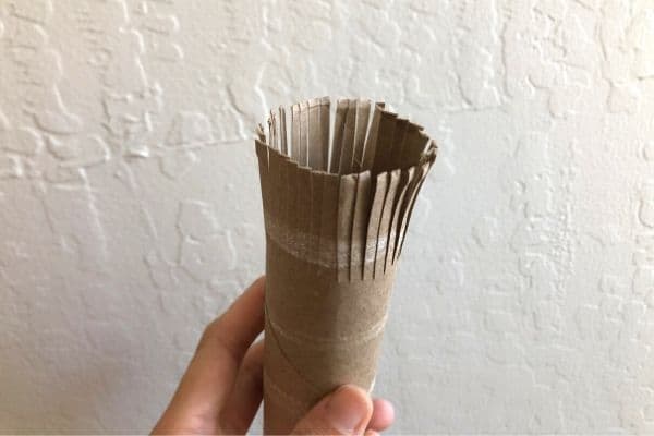 Toilet Paper Roll Fireworks Cut Slits