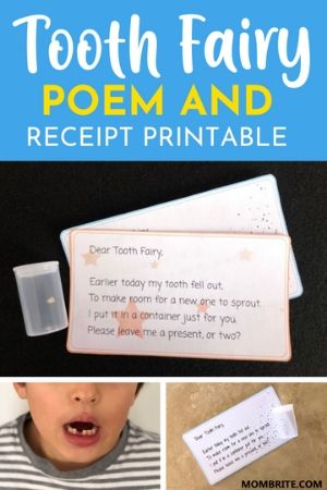Tooth Fairy Poem Pin