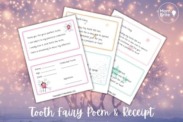 Home Tooth Fairy Poem and Receipt Mockup