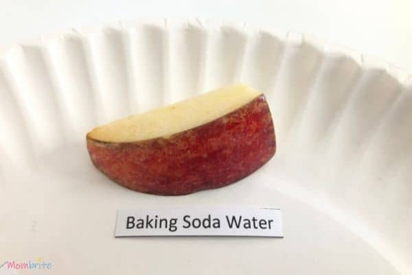 Apple Oxidation Experiment Baking Soda