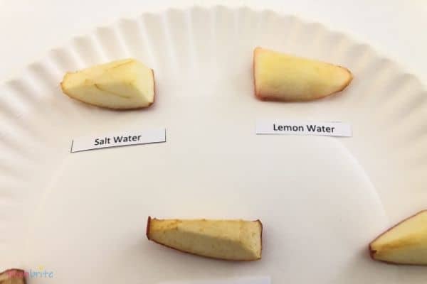 Apple Oxidation Experiment Salt Water Lemon