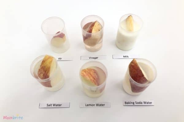 Apple Oxidation Experiment Soak in Liquids