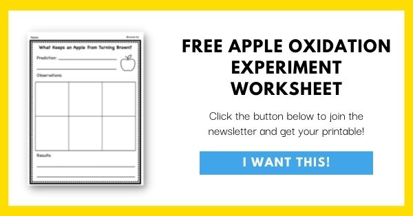 Apple Oxidation Experiment Worksheet Email List Opt-In