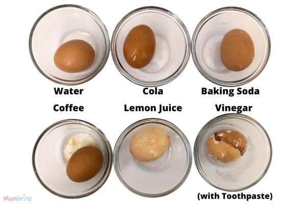 Eggshell-Tooth-Decay-Experiment