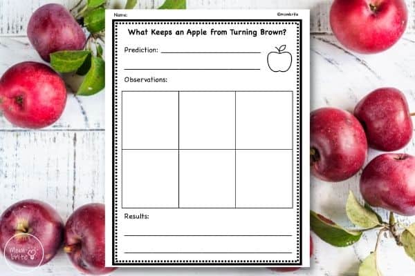 Free Printable Apple Experiment Worksheet Mockup