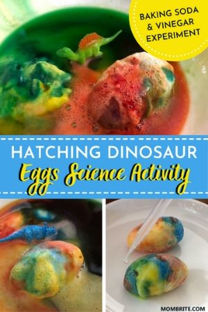 Hatching Dinosaur Eggs Science Activity Pin