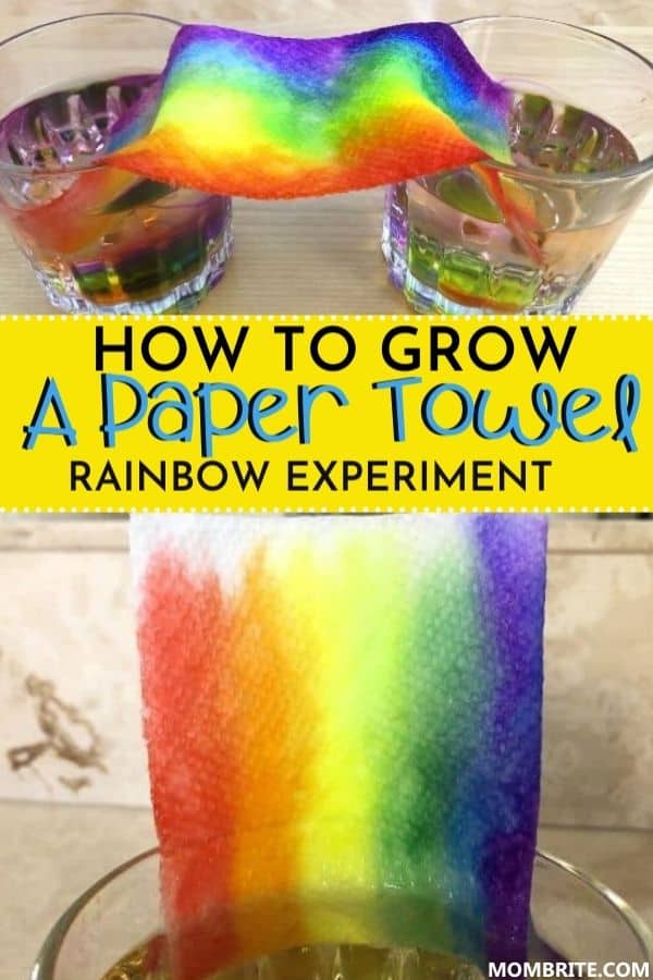 How to Grow a Paper Towel Rainbow Pin