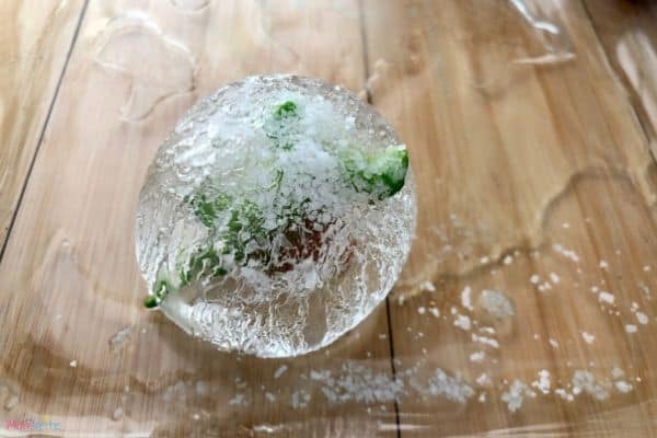 Ice Dinosaur Egg with Salt
