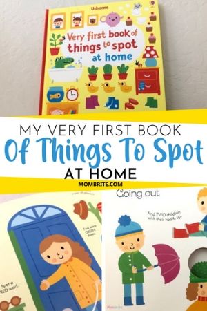 My Very First Book of Things to Spot at Home Review