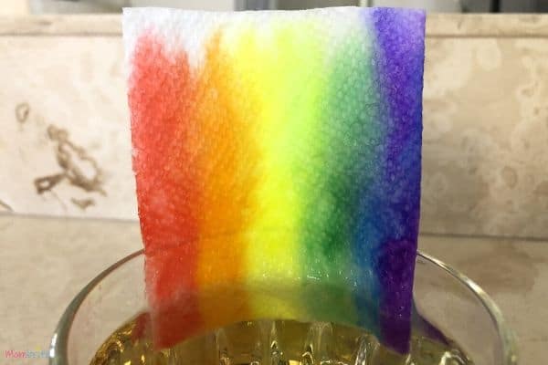 Rainbow Paper Towel Color Climb Up