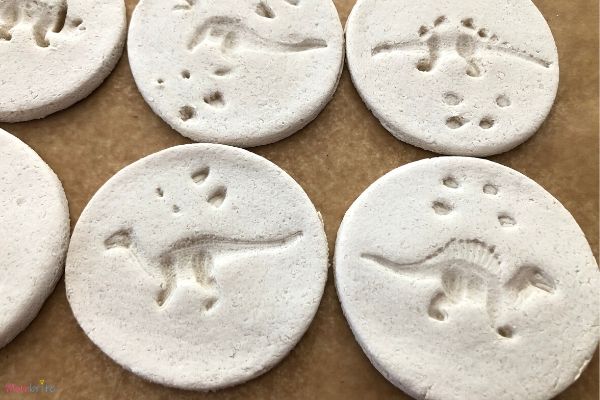 Salt Dough Dinosaur Fossils Closeup