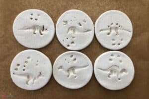 How to Make Salt Dough Dinosaur Fossils - Mombrite