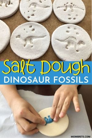 Salt Dough Dinosaur Fossils Pin