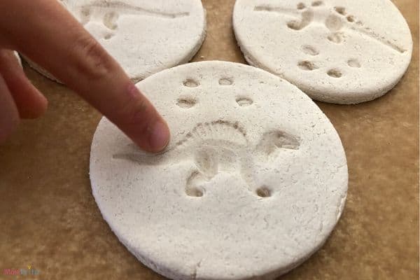 Salt Dough Dinosaur Fossils Texture