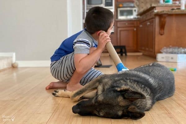 DIY Stethoscope Dog