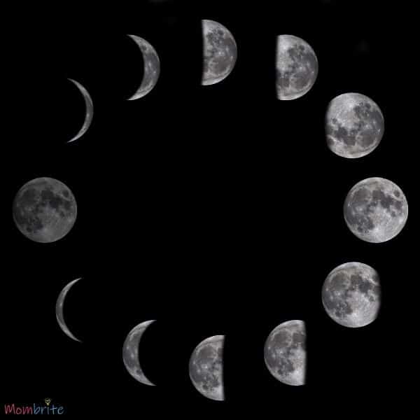 Moon Phases Diagram