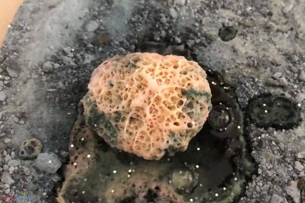 Moon Rocks Closeup