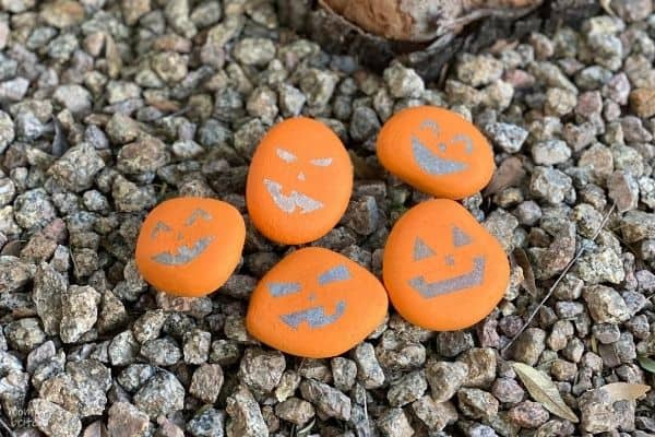 Pumpkin Rocks by Tree