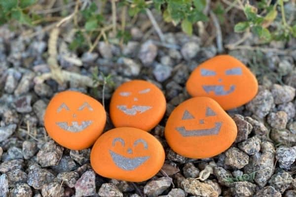 Pumpkin Rocks under Bush