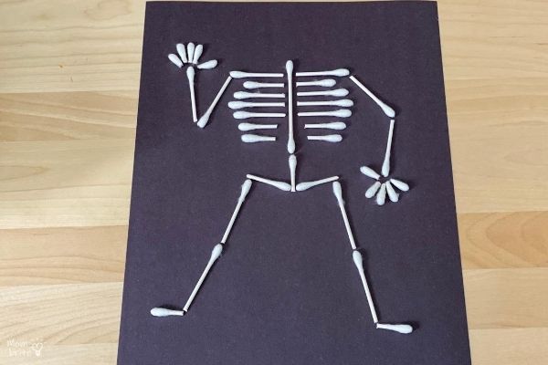 How to Make Q-Tip Skeletons QTip Skeleton Limbs