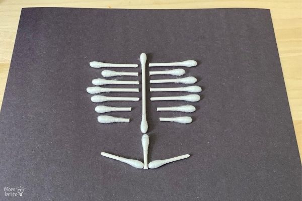 QTip Skeleton Pelvis