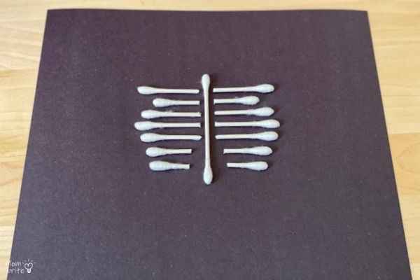 How to Make Q-Tip Skeletons QTip Skeleton Ribs