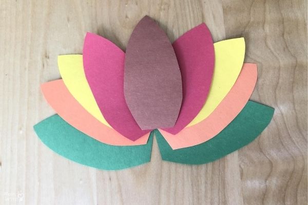 Toilet Paper Turkey Craft Arrange Feathers