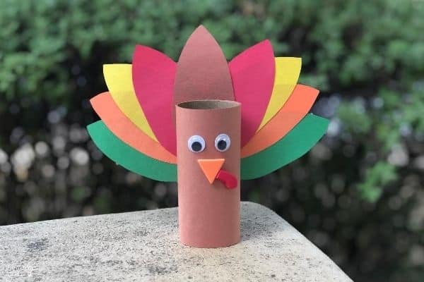 Toilet Paper Turkey Craft Outdoors Closeup