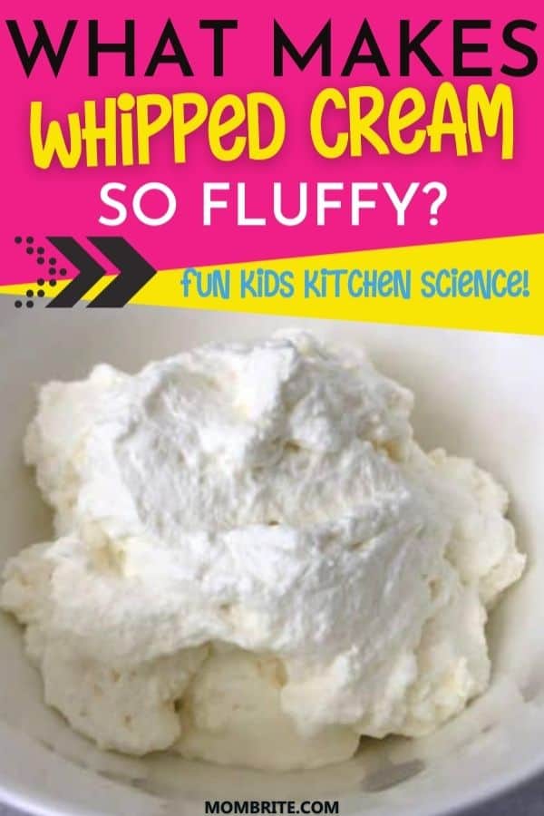 Whipped Cream Kitchen Science Pin