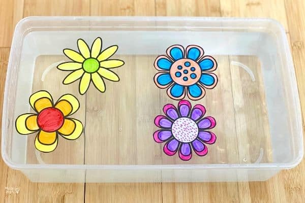 Magical Blooming Paper Flowers Experiment