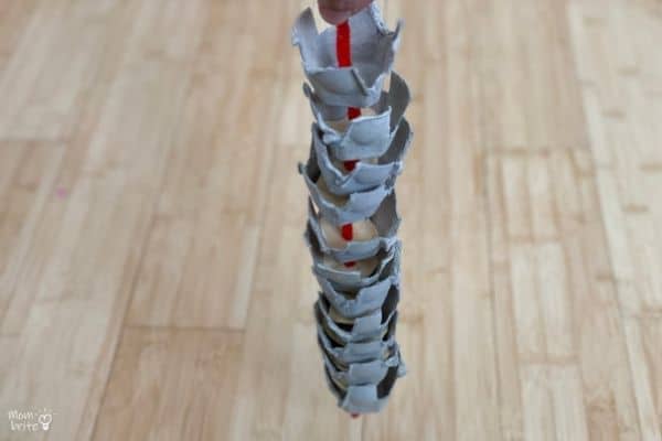 Egg Carton Spine Finished