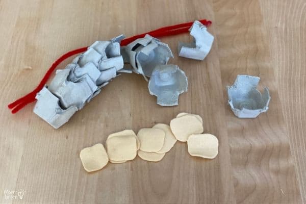 Egg-Carton-Spine-Foam-Circles