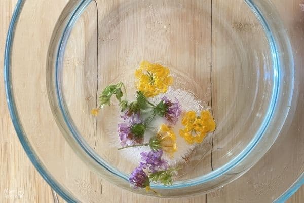 Frozen Flowers Ice Melt