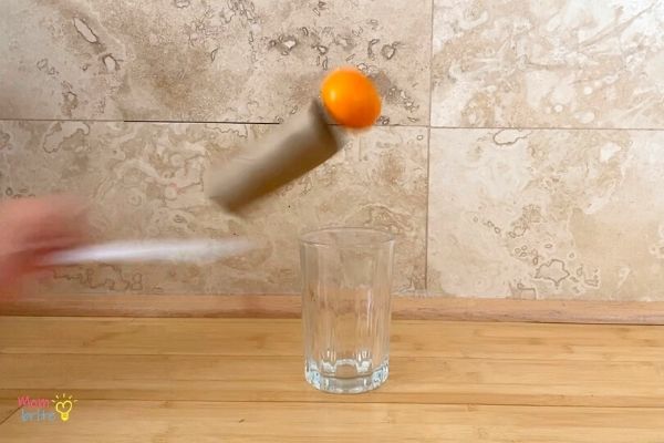 Inertia Experiment Falling Fruit